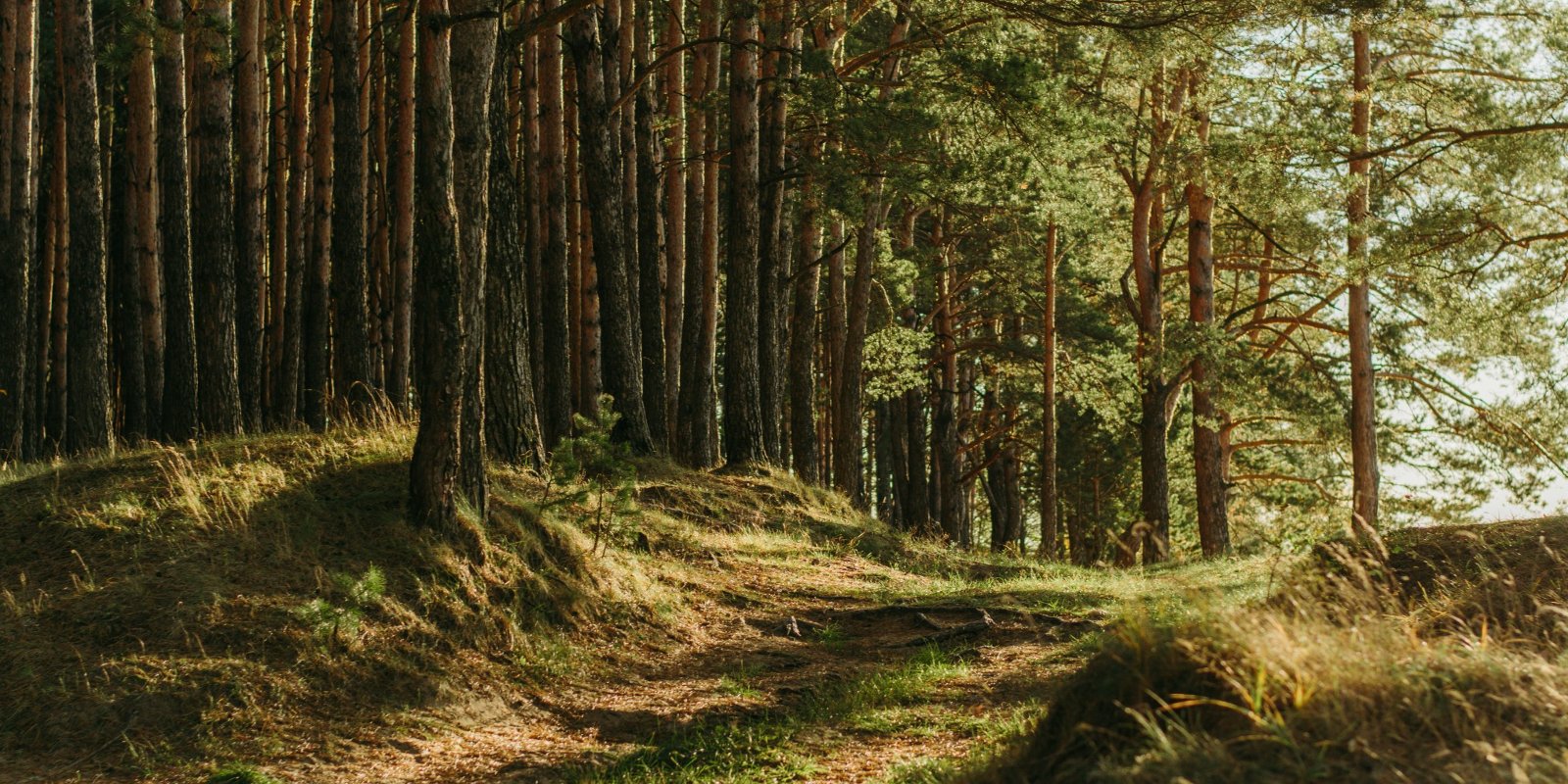 Pila Křemže